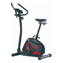Bicicleta Fija (ARG-456) Randers